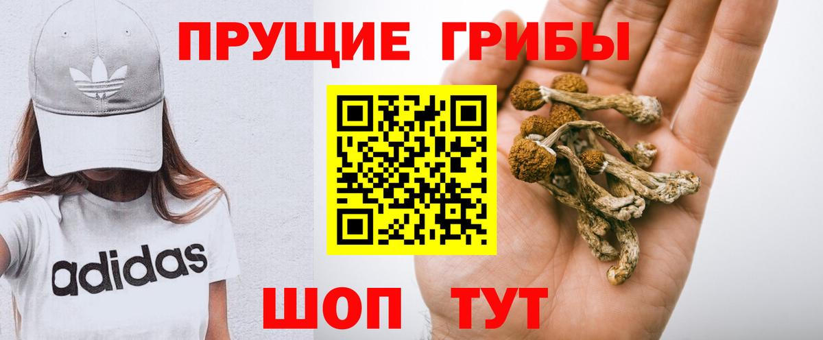 Галлюциногенные грибы Cubensis Анапа